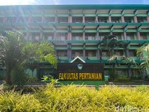 Profil Fakultas Pertanian UMI Makassar: Prodi, Fasilitas, Peluang Beasiswa