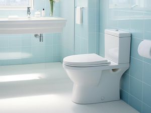 Air Kloset Nggak Deras dan Lama Turun Bukan karena Flush, Ini 3 Biang Keroknya