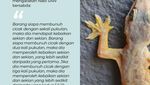 Anjuran Membunuh Cicak dalam Hadits, Berpahala 100 Kebaikan