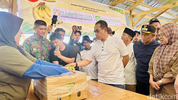 Kapolda Sulsel Irjen Andi Rian R Djajadi menyaksikan panen perdana pisang cavendish di Mare, Bone.