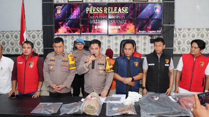 Polres Merangin menangkap emak-emak pelaku karhutla yang bukalahan dengan cara dibakar.