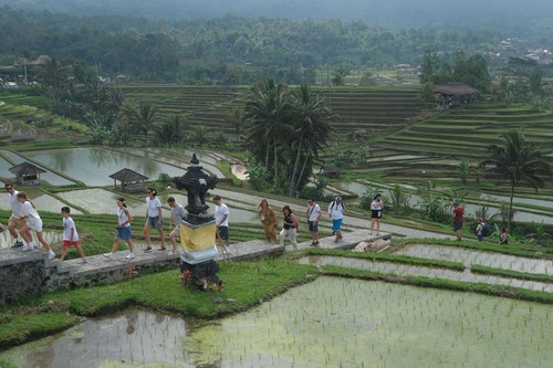 Sejumlah wisatawan mancanegara berjalan menyusuri persawahan saat berkunjung di Daya Tarik Wisata (DTW) Jatiluwih, Tabanan, Bali, Sabtu (3/8/2024). Berdasarkan data dari Badan Pusat Statistik (BPS) Provinsi Bali mencatat hasil perkembangan pariwisata terkait jumlah kunjungan wisman ke Bali saat ini melebihi situasi sebelum COVID-19 yakni Januari-Juni 2024 kunjungan wisman sebanyak 2.911.155 orang, jumlah tersebut lebih tinggi dibanding Januari-Juni 2019 sebanyak 2.855.782 orang. ANTARA FOTO/Nyoman Hendra Wibowo/aww.