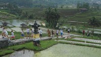 Sejumlah wisatawan mancanegara menikmati suasana saat berkunjung di Daya Tarik Wisata (DTW) Jatiluwih, Tabanan, Bali, Sabtu (3/8/2024).