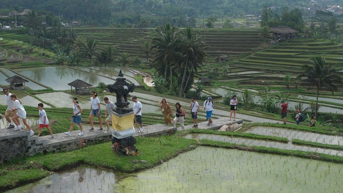 Sejumlah wisatawan mancanegara berjalan menyusuri persawahan saat berkunjung di Daya Tarik Wisata (DTW) Jatiluwih, Tabanan, Bali, Sabtu (3/8/2024). Berdasarkan data dari Badan Pusat Statistik (BPS) Provinsi Bali mencatat hasil perkembangan pariwisata terkait jumlah kunjungan wisman ke Bali saat ini melebihi situasi sebelum COVID-19 yakni Januari-Juni 2024 kunjungan wisman sebanyak 2.911.155 orang, jumlah tersebut lebih tinggi dibanding Januari-Juni 2019 sebanyak 2.855.782 orang. ANTARA FOTO/Nyoman Hendra Wibowo/aww.