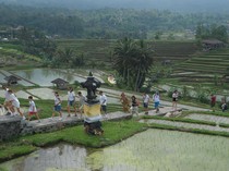 Gangguan Keamanan di Bali Jadi Perhatian, Wisatawan Harus Aman