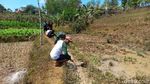 Warga Padati Lokasi Semburan Air Setinggi 20 Meter di Sampang