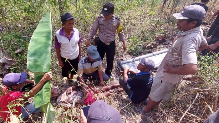 Seorang Kakek Ditemukan Lemas Tersesat di Hutan Tulungagung