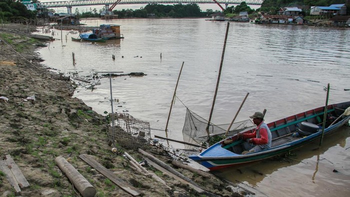 Sungai Kahayan menyusut dampak musim kemarau Seorang nelayan menyandarkan perahunya di bantaran Sungai Kahayan yang mengalami penyusutan di Palangka Raya, Kalimantan Tengah, Jumat (2/8/2024). BMKG Stasiun Meteorologi Kelas 1 Tjilik Riwut Palangka Raya menyebutkan dampak musim kemarau mengakibatkan proses terjadinya penguapan air sungai menjadi sangat cepat dan suhu permukaan yang panas menyebabkan debit air Sungai Kahayan mengalami penyusutan. ANTARA FOTO/Auliya Rahman/Spt.