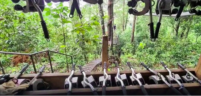 Turis China tertimpa pohon saat naik zipline di Thailand
