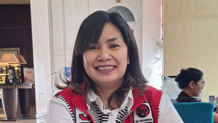 Wakil Ketua DPD PDIP Sumut Sarma Hutajulu (Dok. Istimewa)