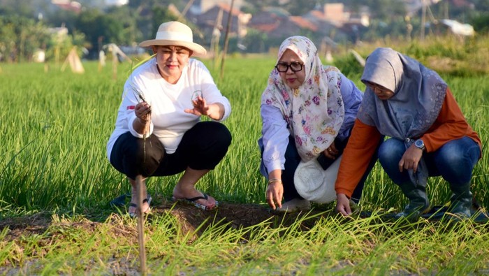 Pemkot Semarang