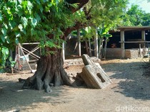 Pegiat Sejarah Ungkap Kaitan Yoni di Trucuk Klaten dengan Prasasti Pastika