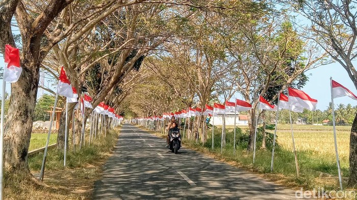 Warga Berfoto Selfie dengan Latar 1.708 Bendera di Desa Kembangkuning, Kecamatan, Ngombol, Purworejo, Senin (5/8/2024).