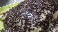 Bersantai sambil makan pancong lumer paling pas di Warung Paps, Bekasi. Variannya tidak begitu banyak, hanya ada cokelat, keju, dan strawberry.  Namun, harganya terjangkau dipatok sebesar Rp 10 ribu/porsi. Foto : @warung_papsi