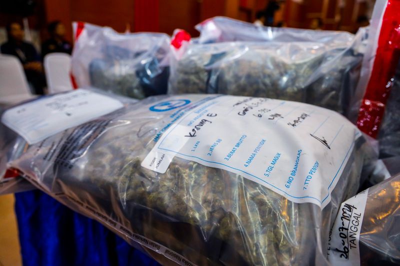 BNN bersama Ditjen Bea dan Cukai menggagalkan upaya penyelundupan 113 kg ganja asal Thailand. Dua orang ditangkap aparat. (dok BNN)