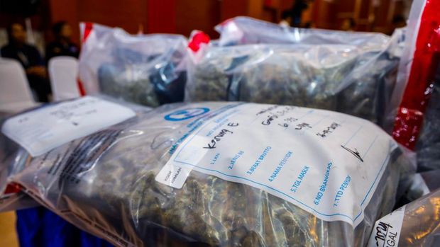 BNN bersama Ditjen Bea dan Cukai menggagalkan upaya penyelundupan 113 kg ganja asal Thailand. Dua orang ditangkap aparat. (dok BNN)