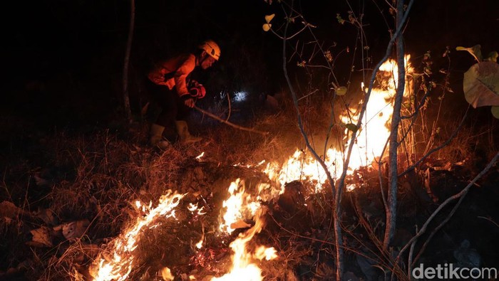 Hutan jati di Ponorogo terbakar