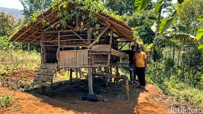 Kandang Hewan Ternak di Cikidang Sukabumi