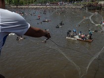 Potret Warga Serbu PLTA Saat Pengurasan Kolam Gegara Banyak Ikan