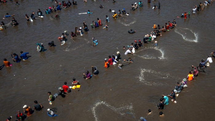 Kolam Tando PLTA Timo Dikuras, Warga Panen Ikan Sejumlah warga menjaring ikan saat Kurasan Kolam Tando Harian Sub Unit Pembangkit Listrik Tenaga Air (PLTA) Timo di Desa Tlompakan, Kecamatan Tuntang, Kabupaten Semarang, Jawa Tengah, Senin (5/8/2024). Kegiatan pengurasan air kolam tando sebagai penampung energi priemer PLTA berkapasitas 4x3 MW penyumbang aliran listrik Jawa-Bali tersebut dilakukan setiap 3 tahun sekali untuk mengelola sedimen volume air kolam, sekaligus sebagai ajang promosi wisata serta peningkatan ekonomi warga dengan memanen sekitar 25.000 ekor berbagai jenis ikan air tawar seperti ikan nila, lele, patin, mujair, karper, dan tawas berbiaya tiket retribusi Rp50.000 per orang untuk panen sepuasnya. ANTARA FOTO/Aji Styawan/foc.
