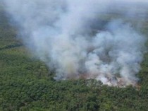 346 Kejadian Karhutla di Sumsel, Kasus di 5 Daerah Zona Merah Meningkat