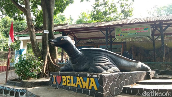 Konservasi kura-kura di Desa Belawa, Cirebon