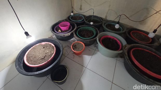 Pelestarian kura-kura di Desa Belawa Cirebon