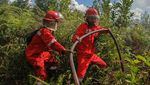 Potret Perjuangan Damkar Padamkan Kebakaran Lahan Gambut di Kalteng