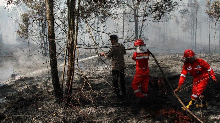 Potret Perjuangan Damkar Padamkan Kebakaran Hutan di Kalteng Petugas Manggala Agni menarik slang saat proses pemadaman kebakaran lahan gambut di Kelurahan Kalampangan, Palangka Raya, Kalimantan Tengah, Minggu (4/8/2024). Berdasarkan data dari Badan Penanggulangan Bencana dan Pemadam Kebakaran (BPBPK) Provinsi Kalimantan Tengah luas lahan yang terbakar dari 1 Januari hingga 3 Agustus 2024 seluas 384,85 hektare dari 193 kejadian karhutla. ANTARA FOTO/Auliya Rahman/tom.