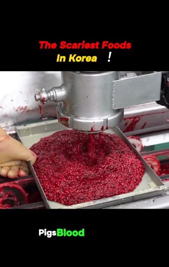 Proses Pembuatan Sosis Darah di Korea Ini Bikin Orang Mual