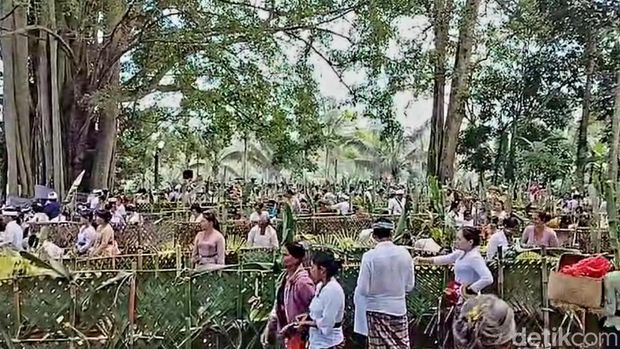 Prosesi tradisi ngasa di Desa Adat Bukian, Payangan, Gianyar, Minggu (4/8/2024). (Putu Krista/detikBali)