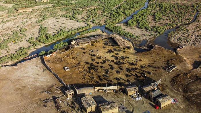 Rawa di Irak Mengering Kekeringan telah melanda Irak. Akibatnya rawa-rawa di Chibayish, Nasiriyah, mengering, Sabtu (3/8/2024) waktu setempat.