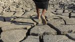 Potret Kekeringan Landa Rawa di Irak
