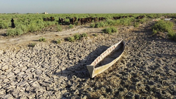 Rawa di Irak Mengering Kekeringan telah melanda Irak. Akibatnya rawa-rawa di Chibayish, Nasiriyah, mengering, Sabtu (3/8/2024) waktu setempat.