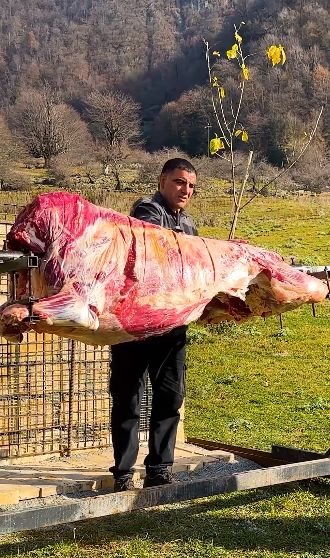 Gokil! Konten Kreator Ini Masak Shawarma Pakai Seekor Sapi 100 Kg