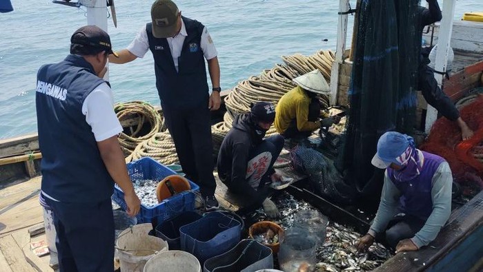 Sudin KPKP Kabupaten Kepulauan Seribu menangkap 9 unit kapal nelayan karena menggunakan alat tangkap ikan yang dilarang, yaitu cantrang dan pukat. (Foto Antara)