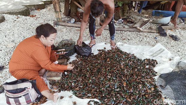 Awing sedang membersihkan kerang hijau untuk dijual