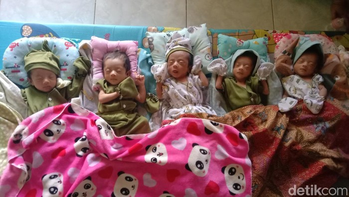 Bayi kembar lima di Indramayu