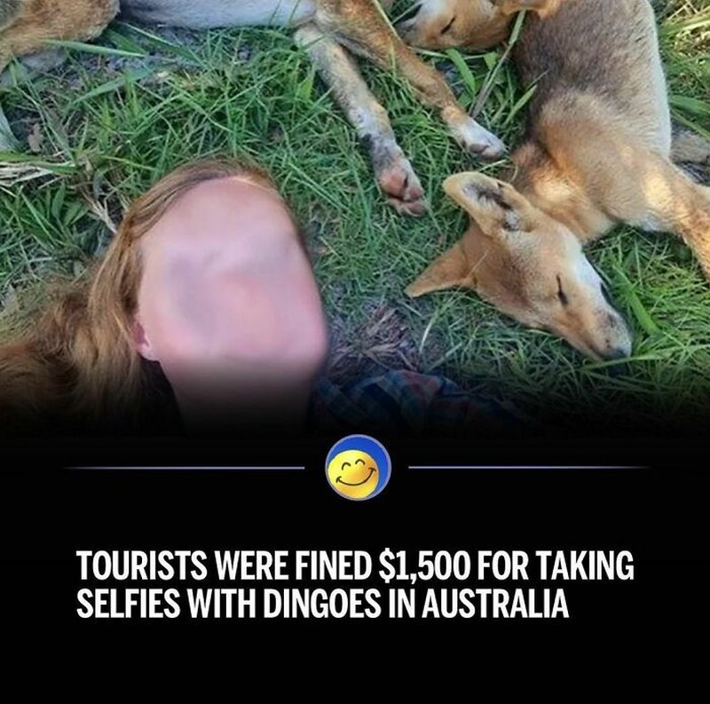 Deretan Influencer Bermasalah