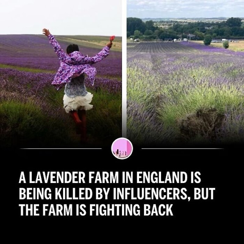 Deretan Influencer Bermasalah