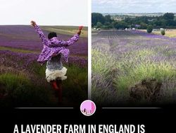 Deretan Influencer Bermasalah, Kasusnya Bikin Geleng-geleng