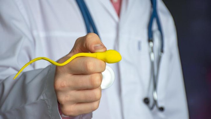 Studi Ungkap Kaitan Kualitas Sperma Pria dan Umur Panjang, Begini Temuannya