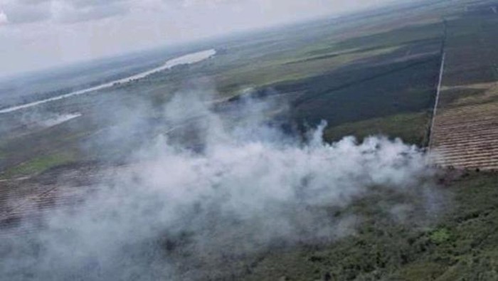 Kebakaran hutan dan lahan (Karhutla) terjadi di beberapa wilayah Banyuasin. Lahan gambut yang terbakar seluas dua hektare, dan baru bisa dipadamkan 0,25 hektare. Hingga saat ini Satgas Karhutla masih berupaya lakukan pemadaman.