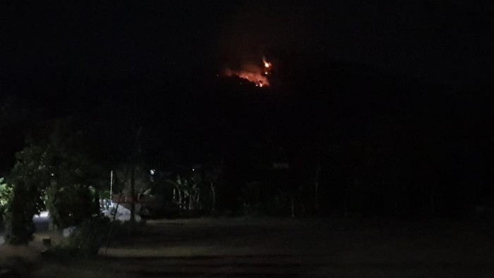 Kebakaran hutan di Ponorogo
