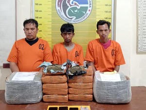 Pengiriman 10 Kg Ganja Via Ekspedisi di Sidimpuan Digagalkan, 3 Pria Ditangkap
