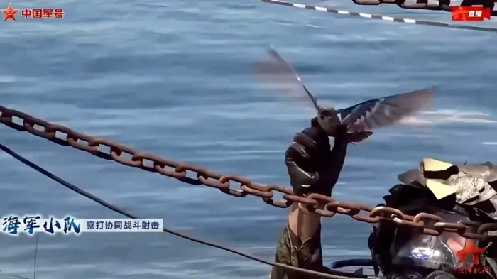 Pasukan Militer China Pamerkan Drone Burung Kecil