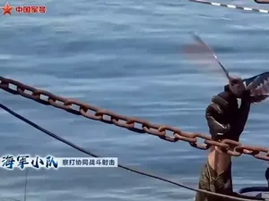 Militer China Buat Burung Robot Pengintai untuk Perang