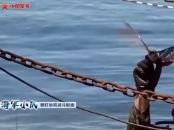 Militer China Pamer Drone Berbentuk Burung, Bisa Kepakan Sayap