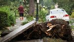 Kota Buffalo AS Dikejutkan Tornado, Jalan Hancur-Pohon Bertumbangan