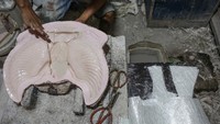 Perajin mengatakan, pesanan kerajinan patung Garuda Pancasila mengalami peningkatan hingga 50 persen menjelang perayaan HUT Kemerdekaan RI.  